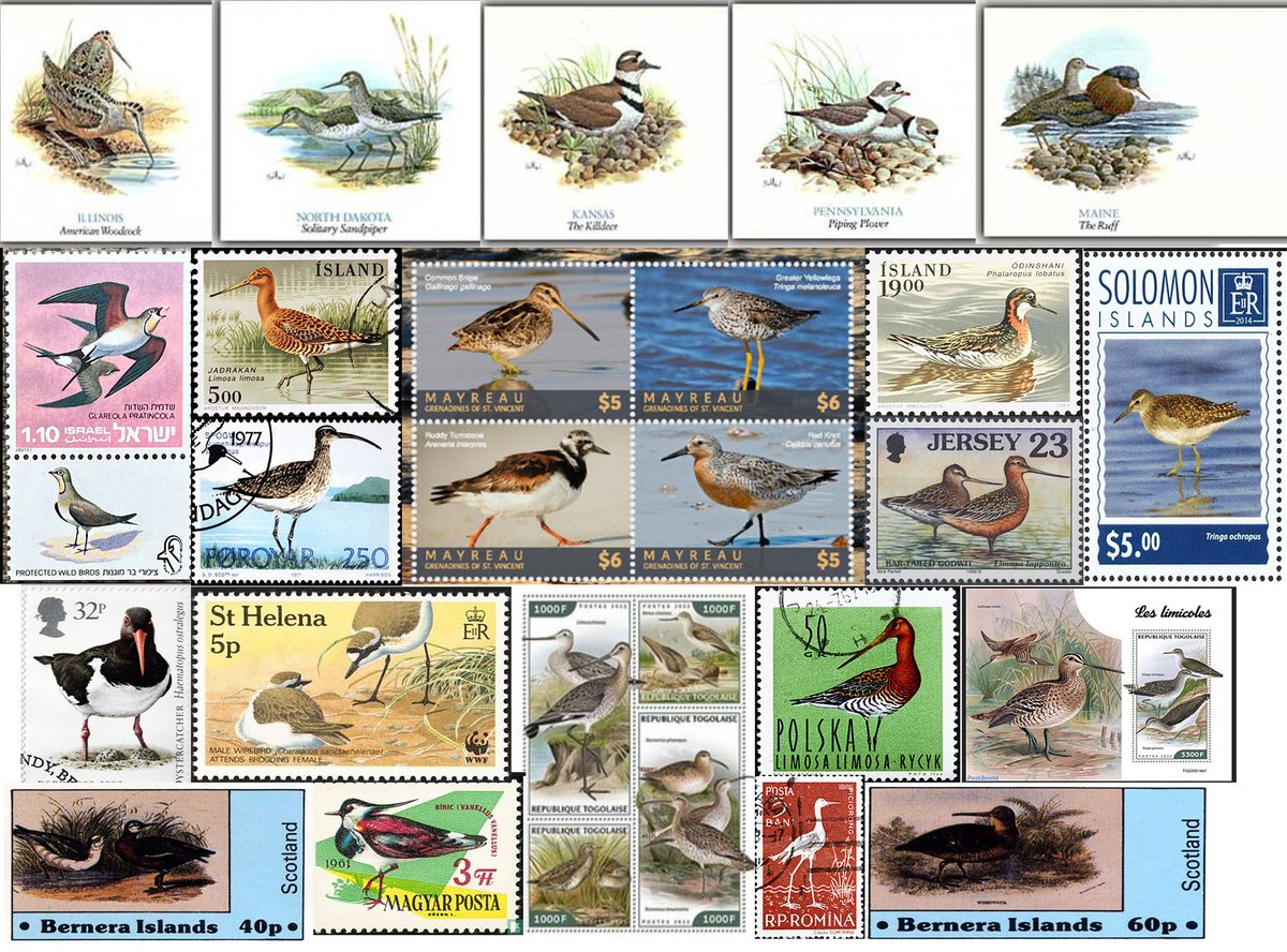 Wader Quest tweet media