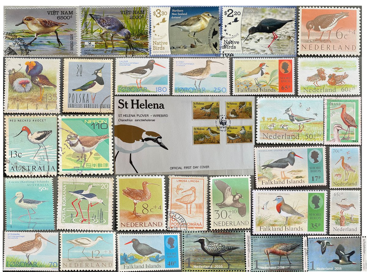 Wader Quest tweet media