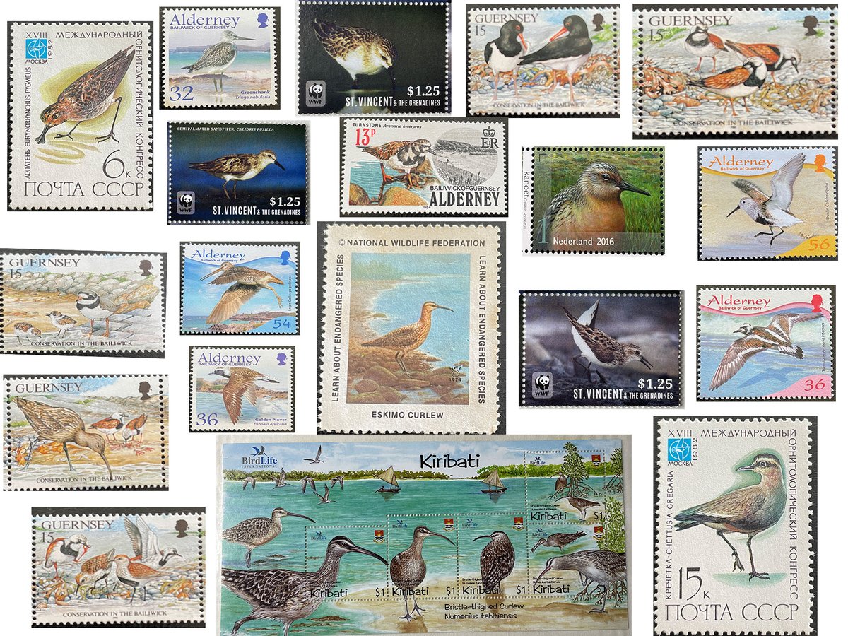 Wader Quest tweet media