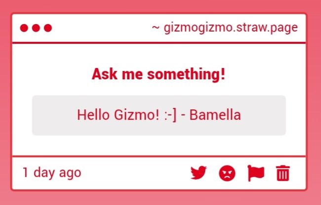 ⋆.˚ ᡣ𐭩 Gizmo .𖥔˚ tweet media