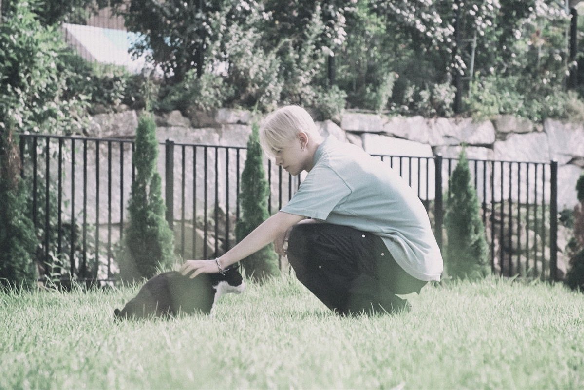 ₊˚⊹⋆ 𝐽𝐽𝑆 ♡₊˚ ft. 𝗘𝗡𝗛𝗬𝗣𝗘𝗡 𝗜𝗦 𝟳 tweet media
