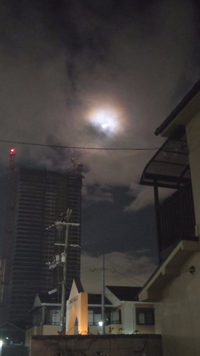 最近お月様が好き
簡単に良く撮れないし毎日色んな形するし分かりそうで分かんない