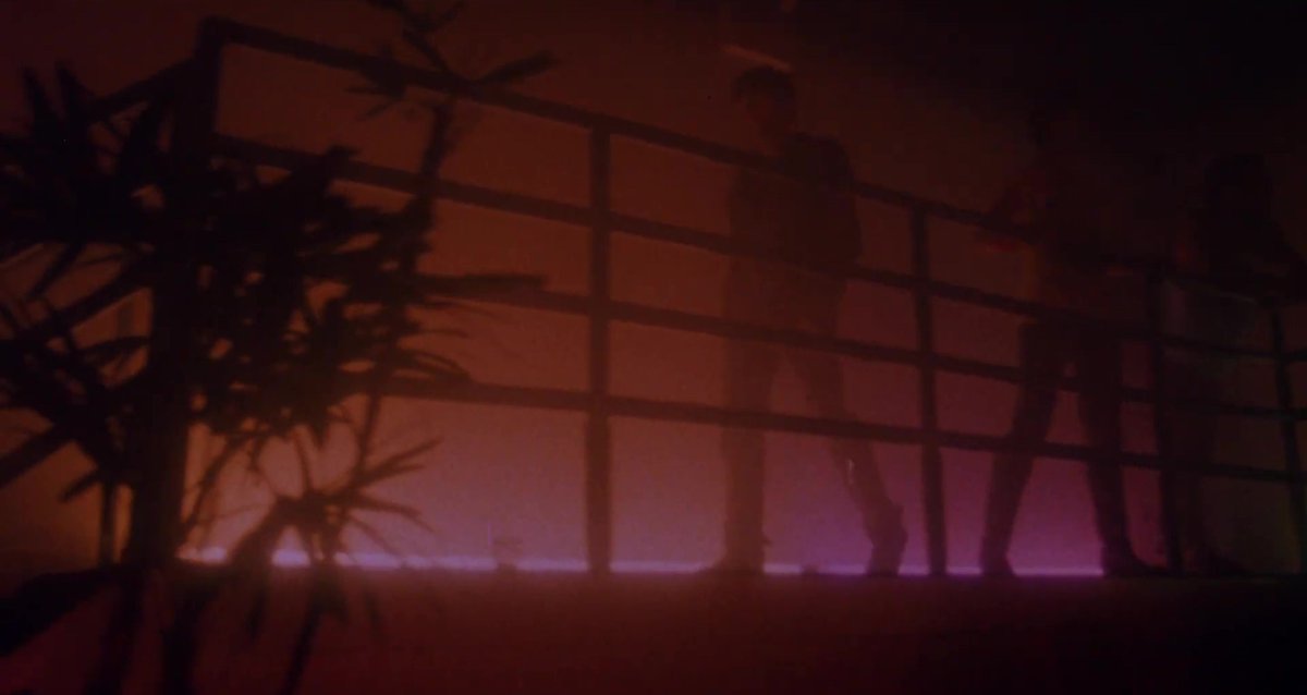 Jacob Calta tweet media