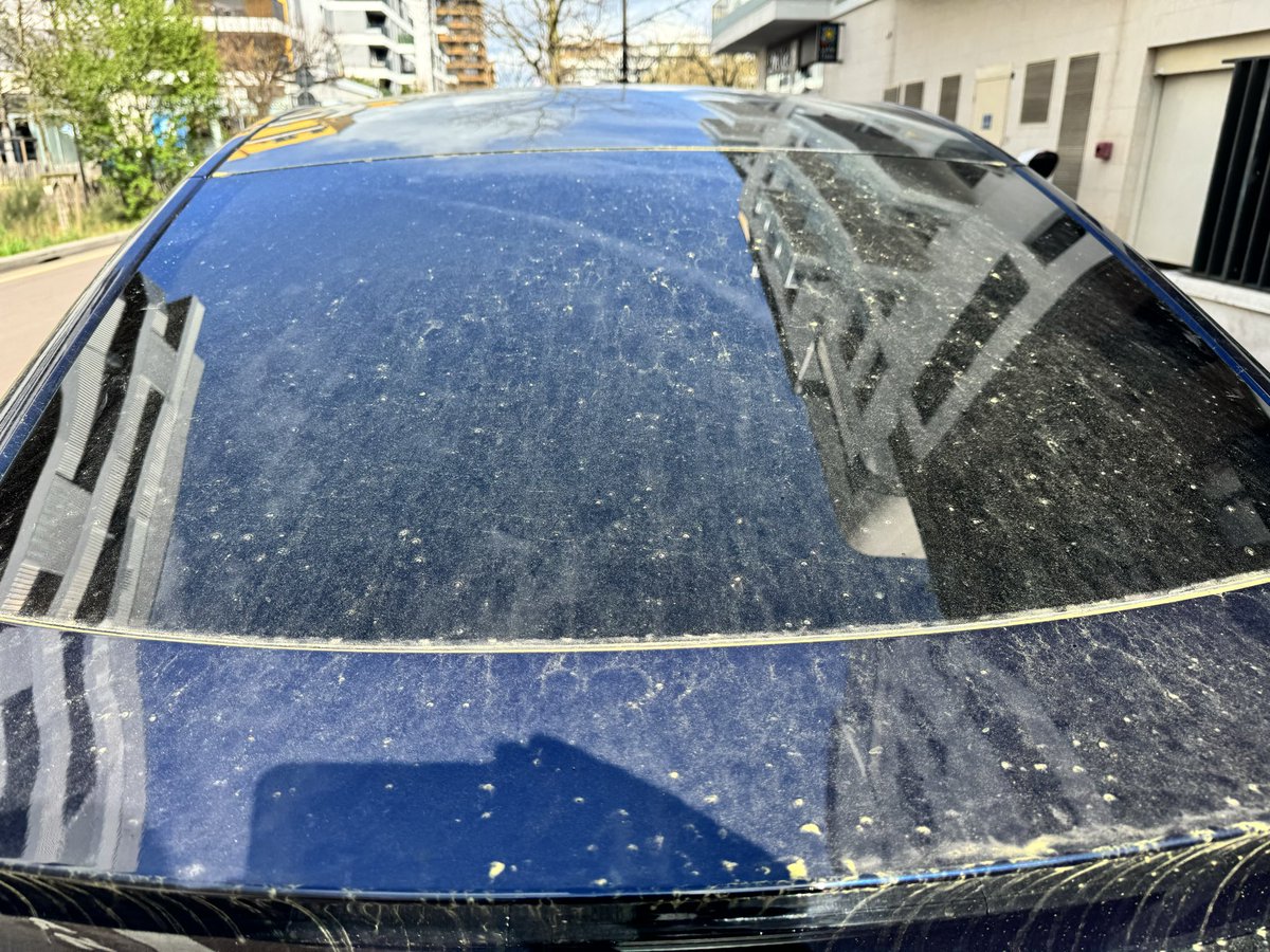 GaelDenes's tweet photo. @elonmusk @Tesla @TeslaEurope

I love Tesla’s vision but my delivery experience in France was unacceptable.

Ordered a Model Y in September (promised early October).  
Finally delivered March 10 after multiple financing issues and no callbacks.

Delivery arrived 1h30 late and the car was extremely dirty.