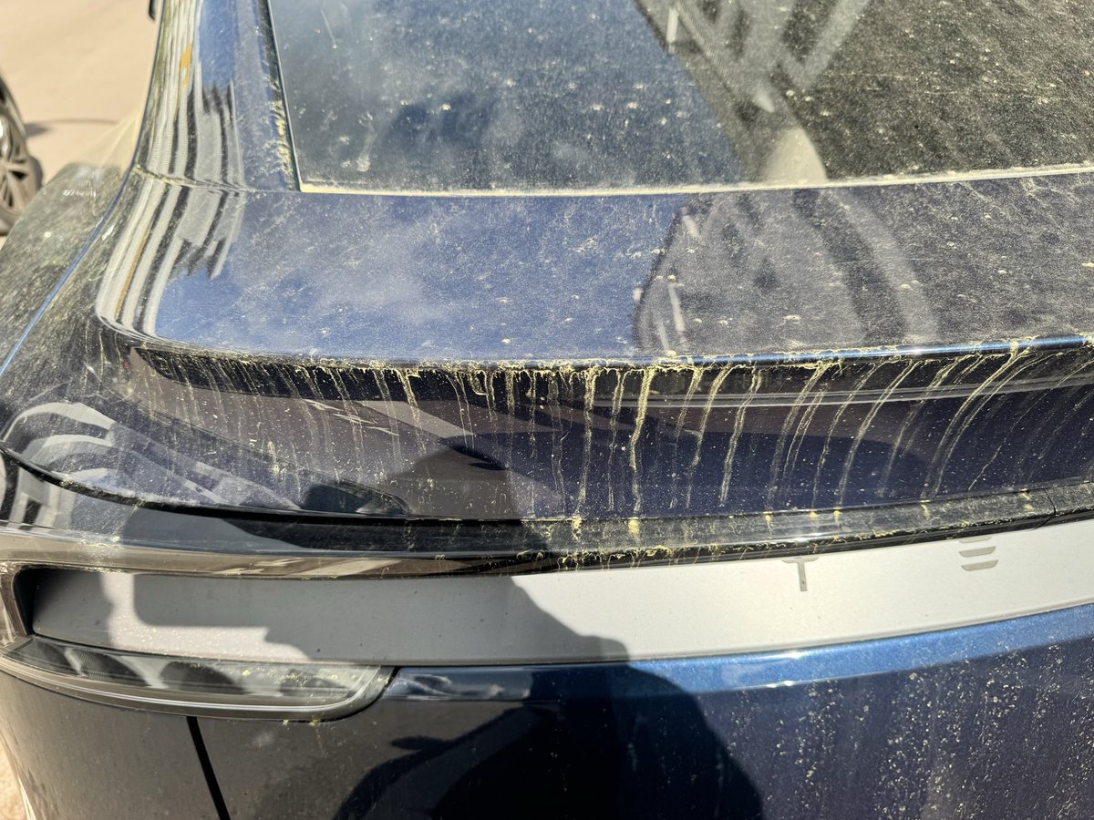 GaelDenes's tweet photo. @elonmusk @Tesla @TeslaEurope

I love Tesla’s vision but my delivery experience in France was unacceptable.

Ordered a Model Y in September (promised early October).  
Finally delivered March 10 after multiple financing issues and no callbacks.

Delivery arrived 1h30 late and the car was extremely dirty.