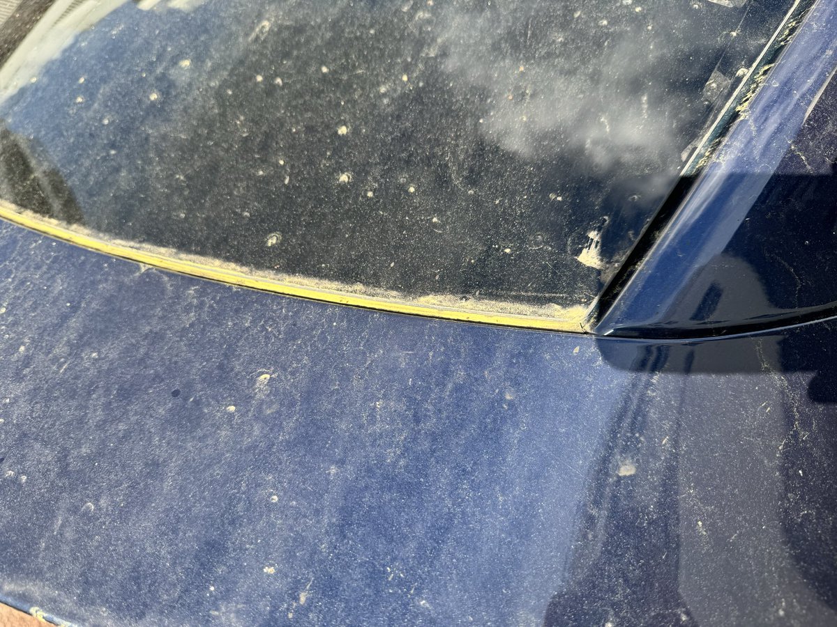GaelDenes's tweet photo. @elonmusk @Tesla @TeslaEurope

I love Tesla’s vision but my delivery experience in France was unacceptable.

Ordered a Model Y in September (promised early October).  
Finally delivered March 10 after multiple financing issues and no callbacks.

Delivery arrived 1h30 late and the car was extremely dirty.