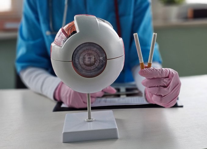 EARA France tweet media