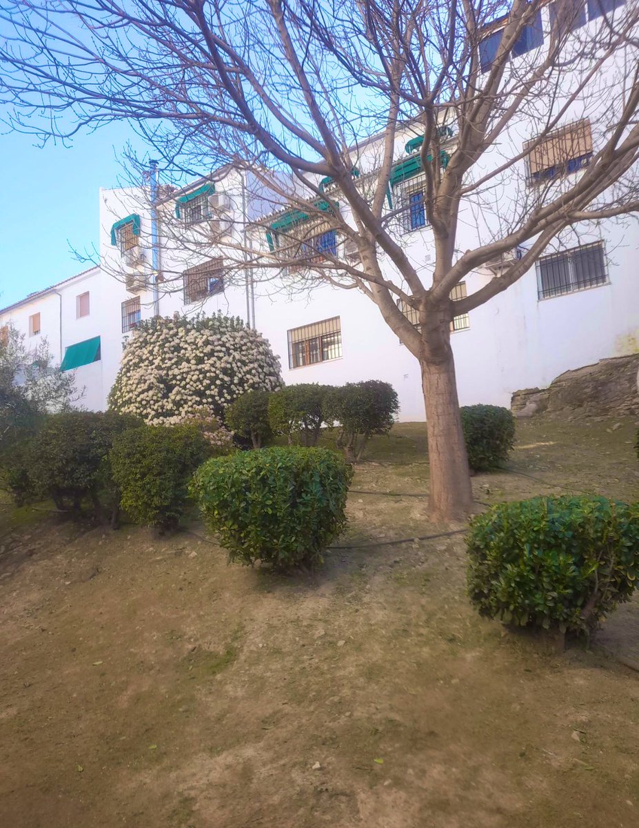 🌿 #ATiendeQ en las zonas verdes
Poda y mantenimiento de zonas verdes, árboles y espacios ajardinados de Barriada García Prieto 

¿Quieres contactar con nosotros?
📲 En la #APP de ATiendeQ
✅ En WhatsApp: 689 41 02 95