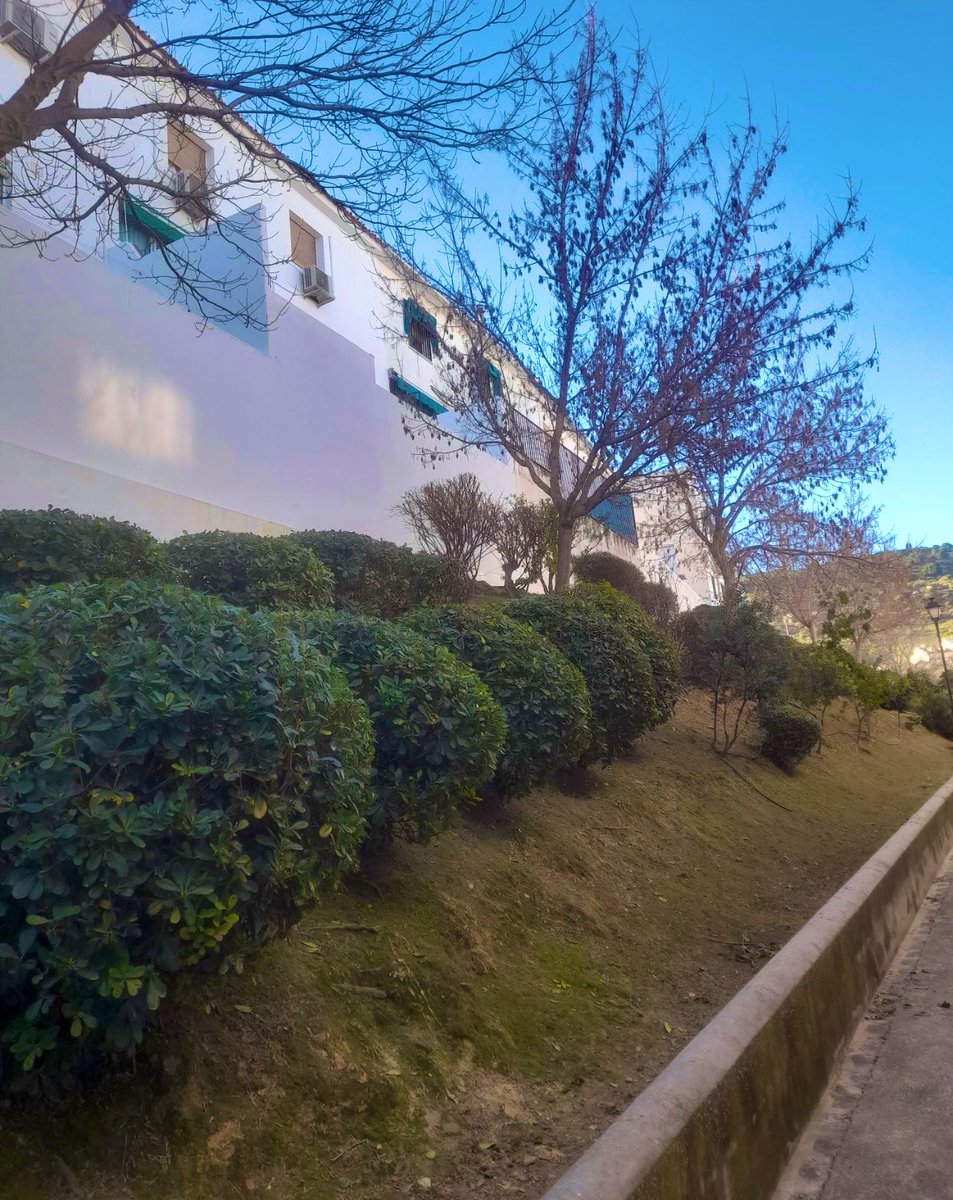 ATiendeQ tweet media