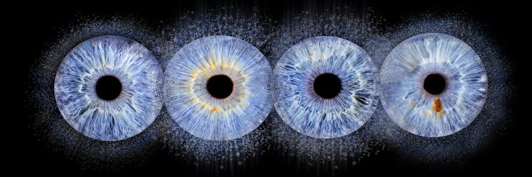 Thierry michel photographie tweet media