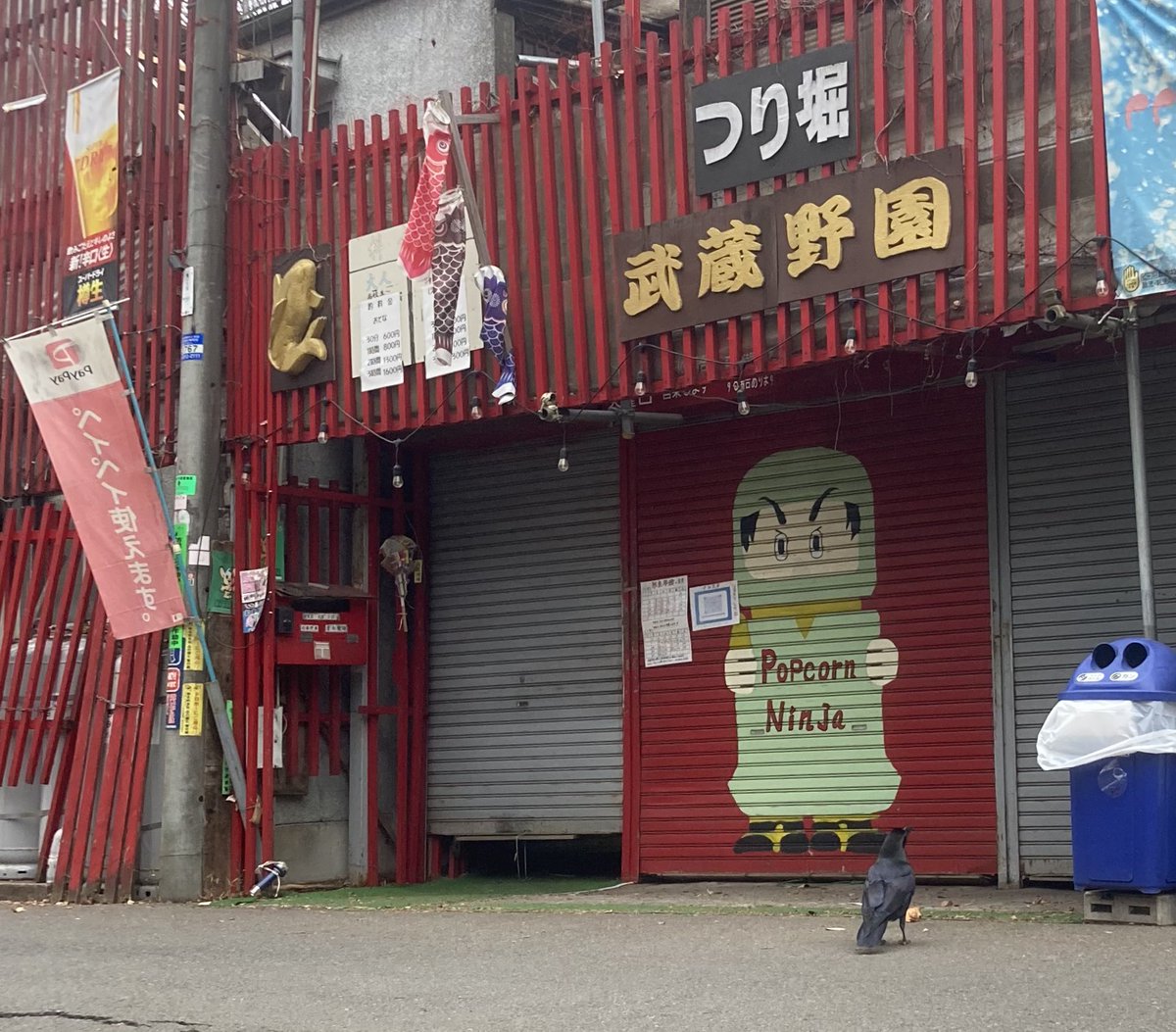 Leslie Anne Rogers tweet media