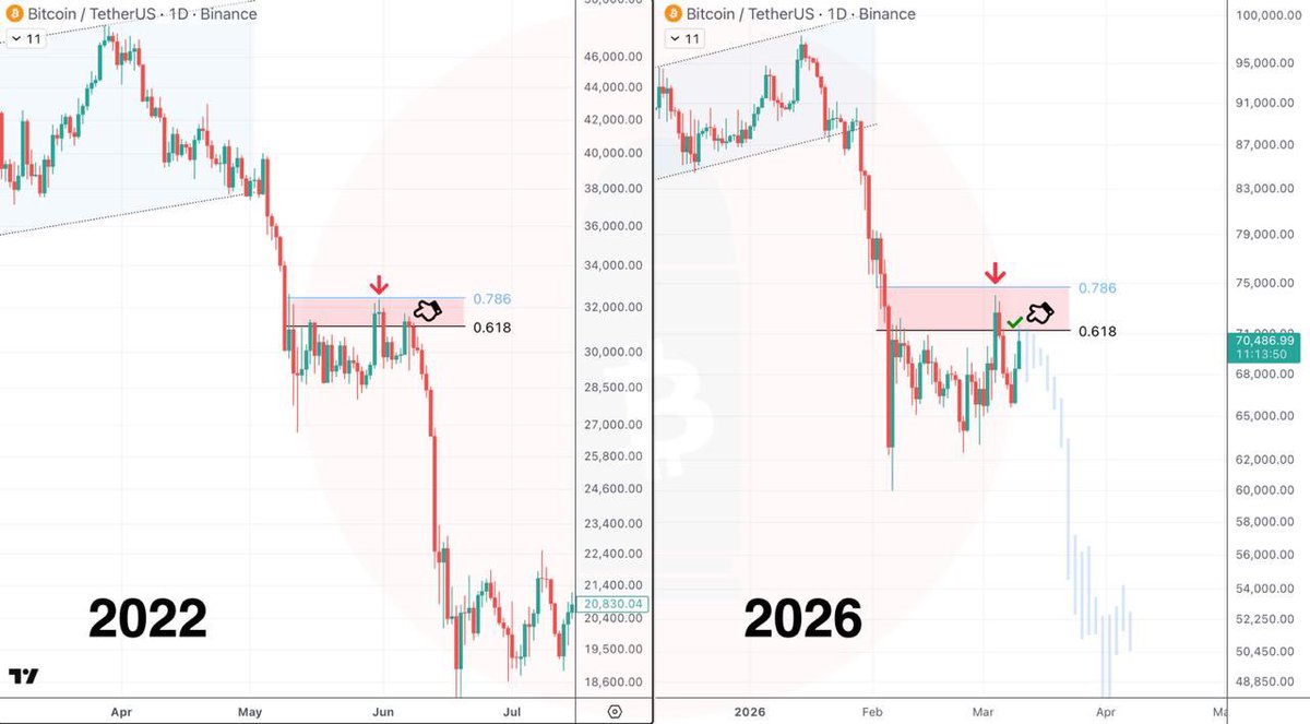 Elizaveta tweet media