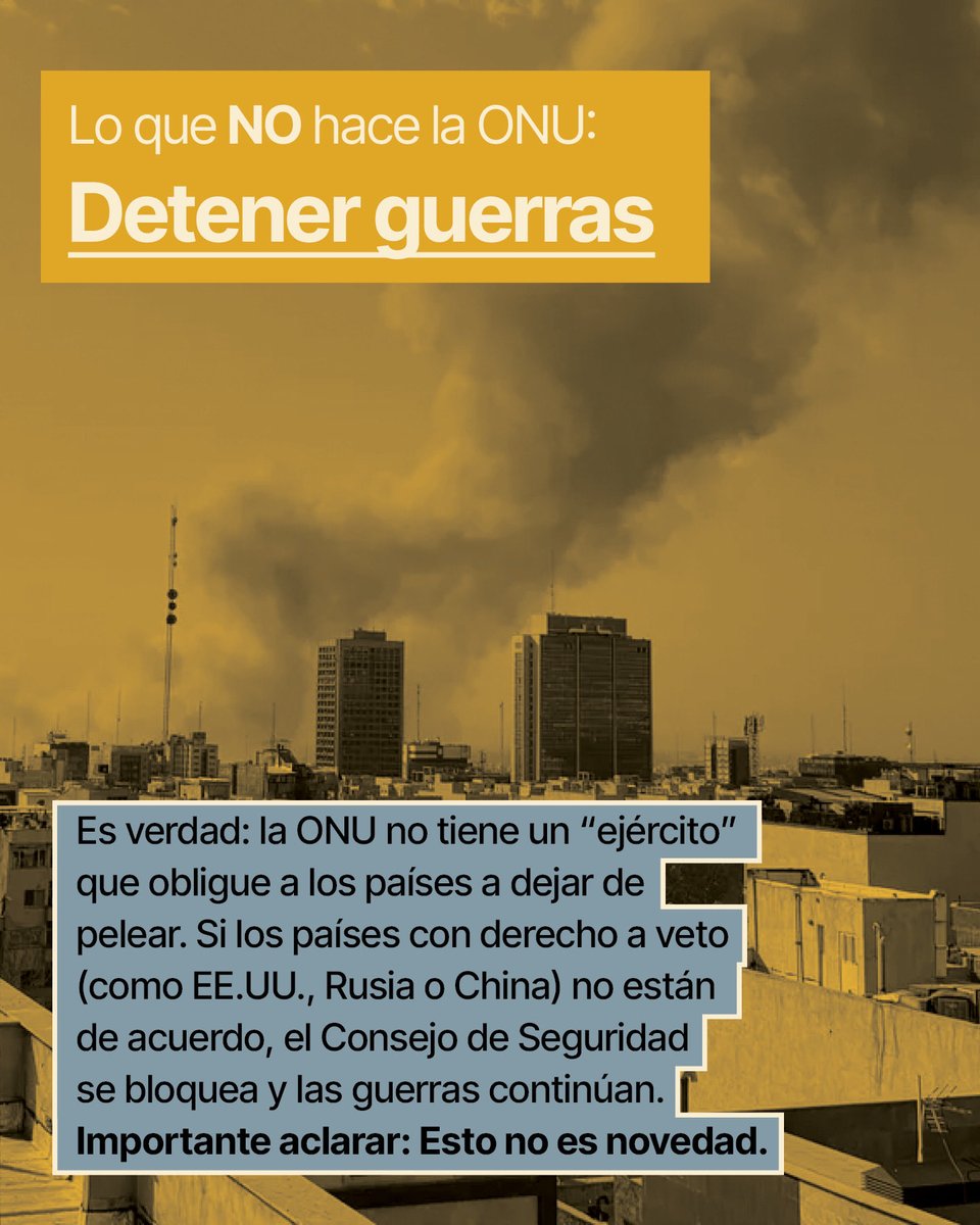 Observatorio Ciudadano tweet media