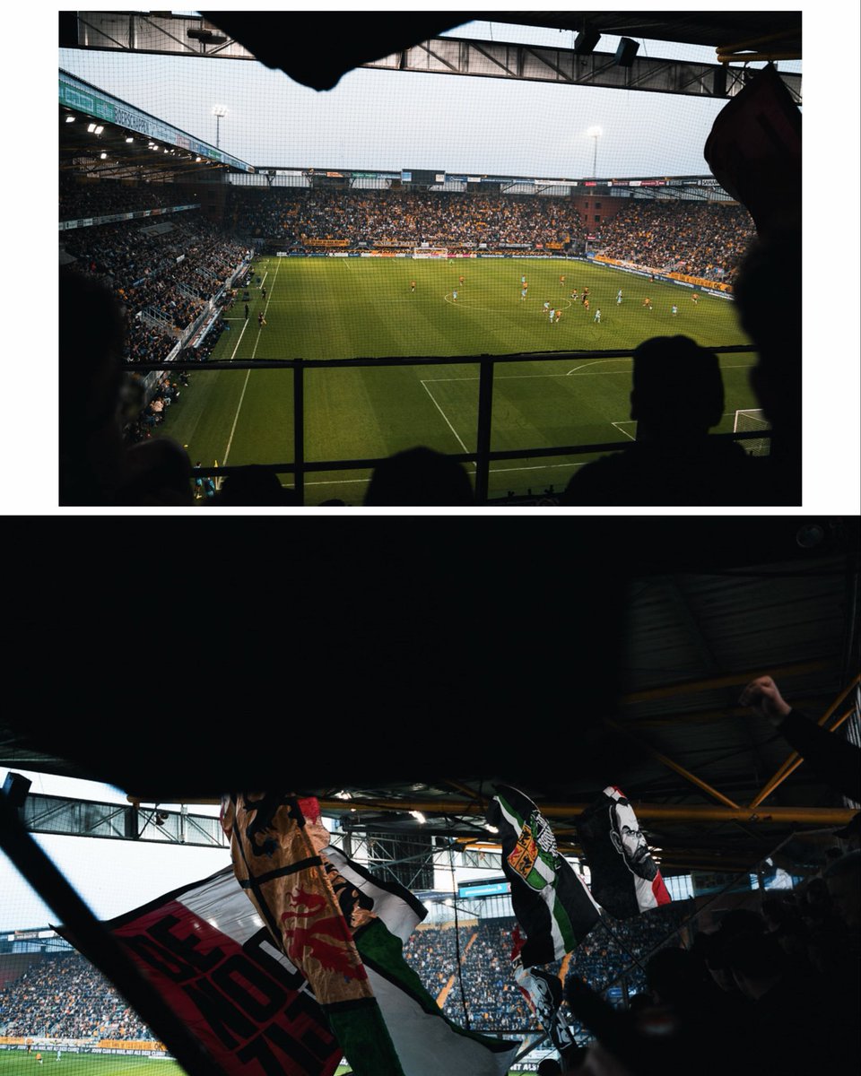 Hellmann.Media tweet media