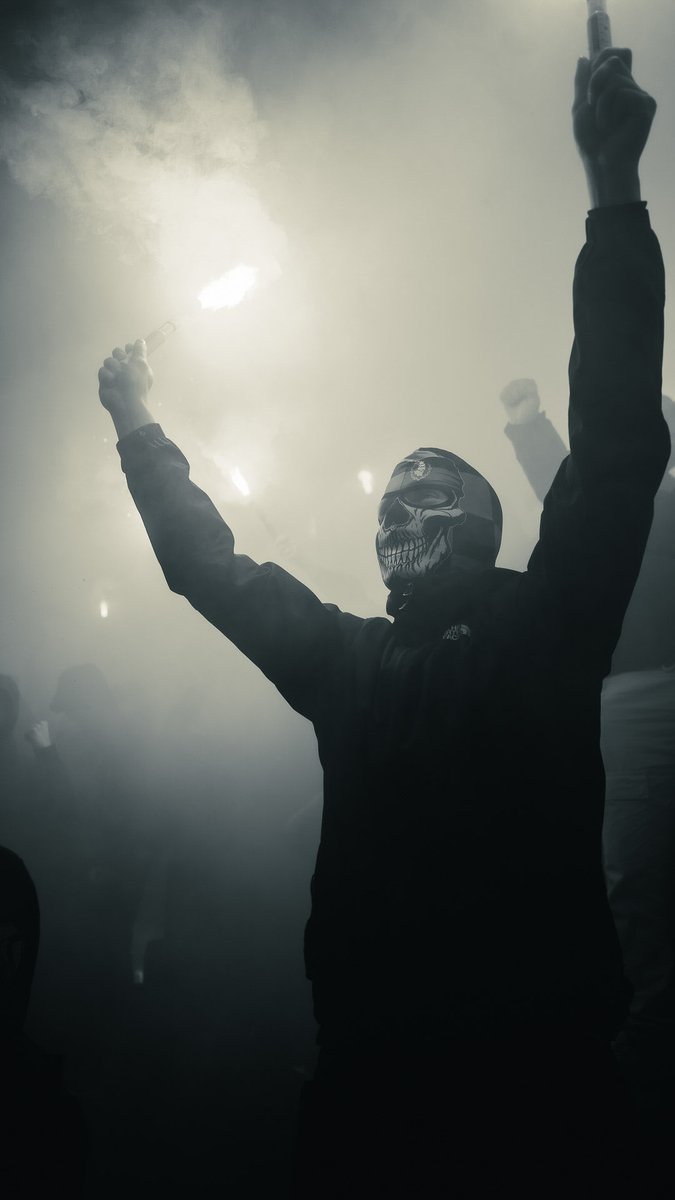 Hellmann.Media tweet media