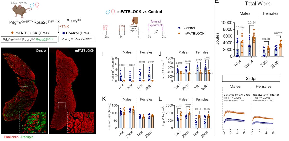Daniel Kopinke tweet media