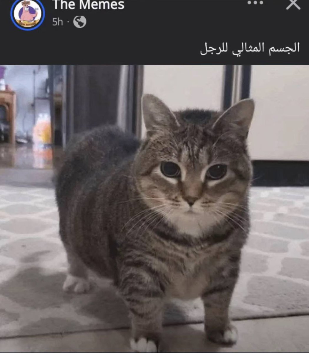 abdulrahman tweet media