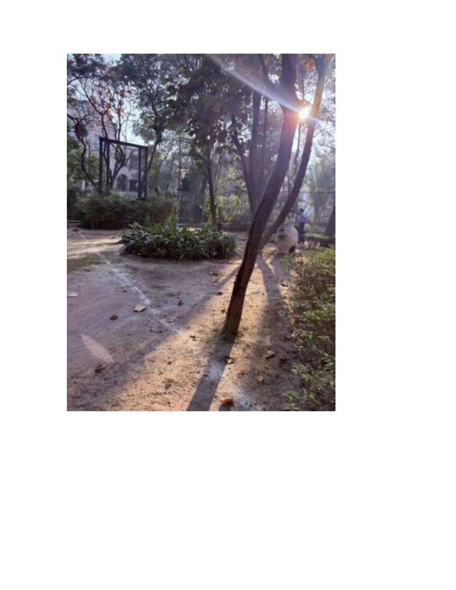 Save 15a Noida park tweet media