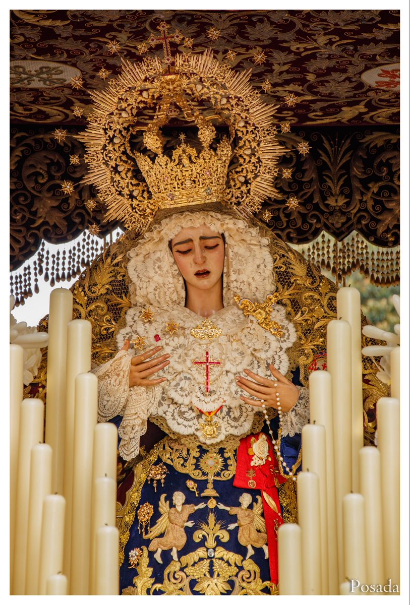 Diego Posada Quintero tweet media