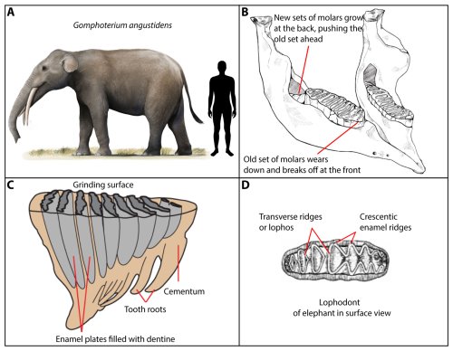 Darío Estraviz López tweet media