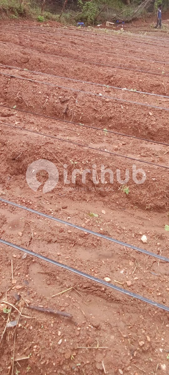 Irri-Hub KE tweet media