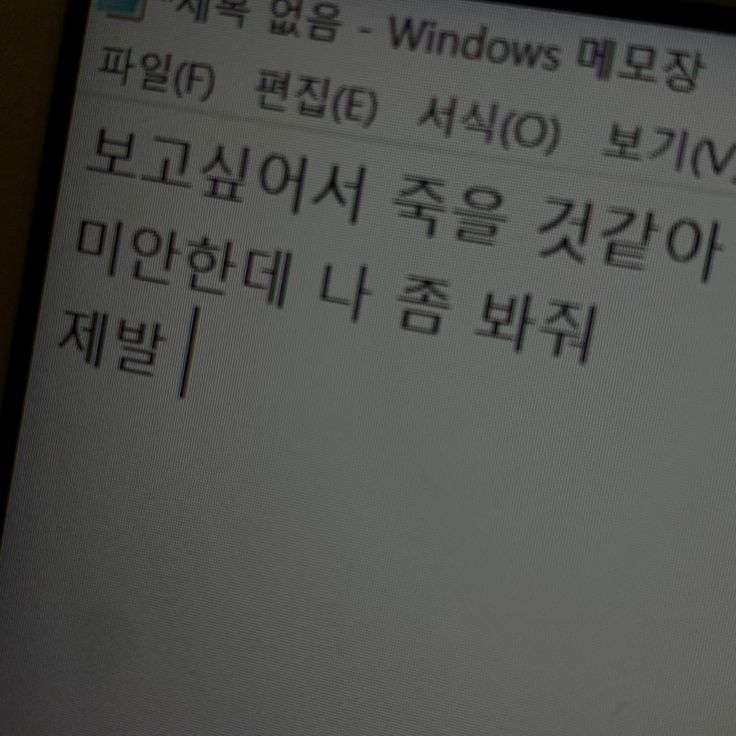 수아 tweet media