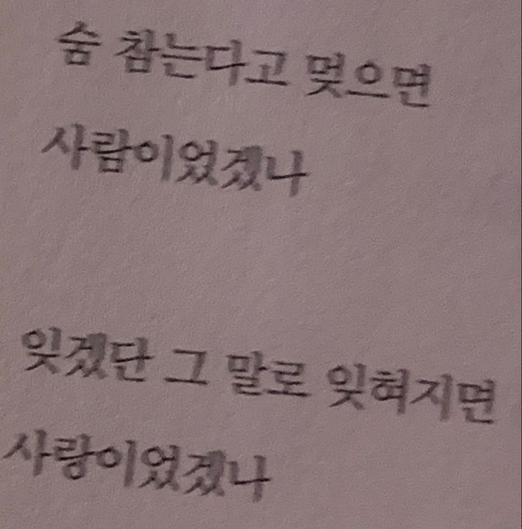 수아 tweet media