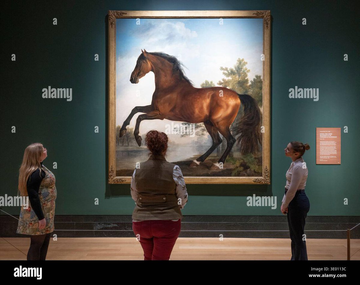 Malcolm Park tweet media