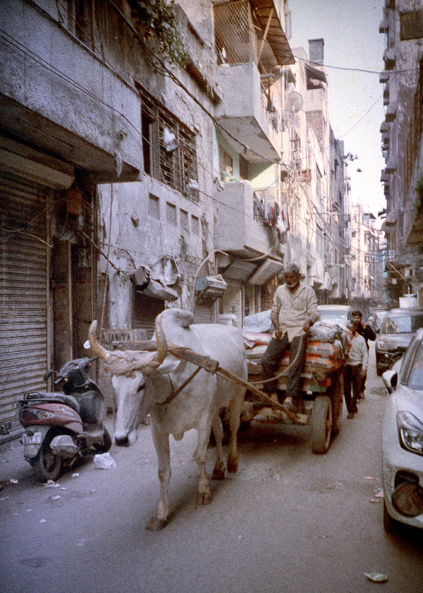 mtkFE's tweet image. The Camera 🤝 The Photos 

Lomo MC-A / Lomography X-PRO SLIDE  200
#Lomography