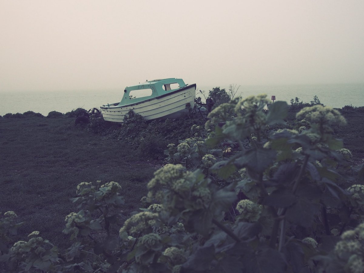 Litstable tweet media