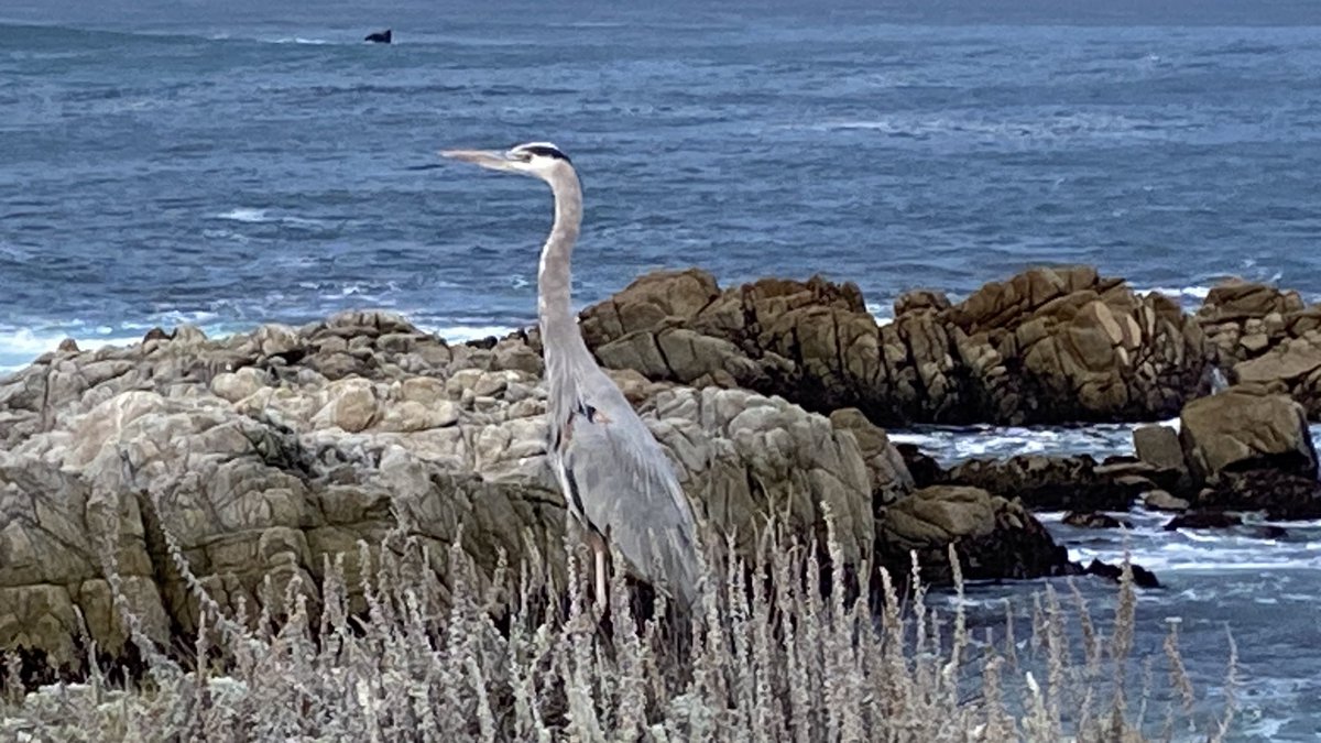 Christopher Keevil tweet media