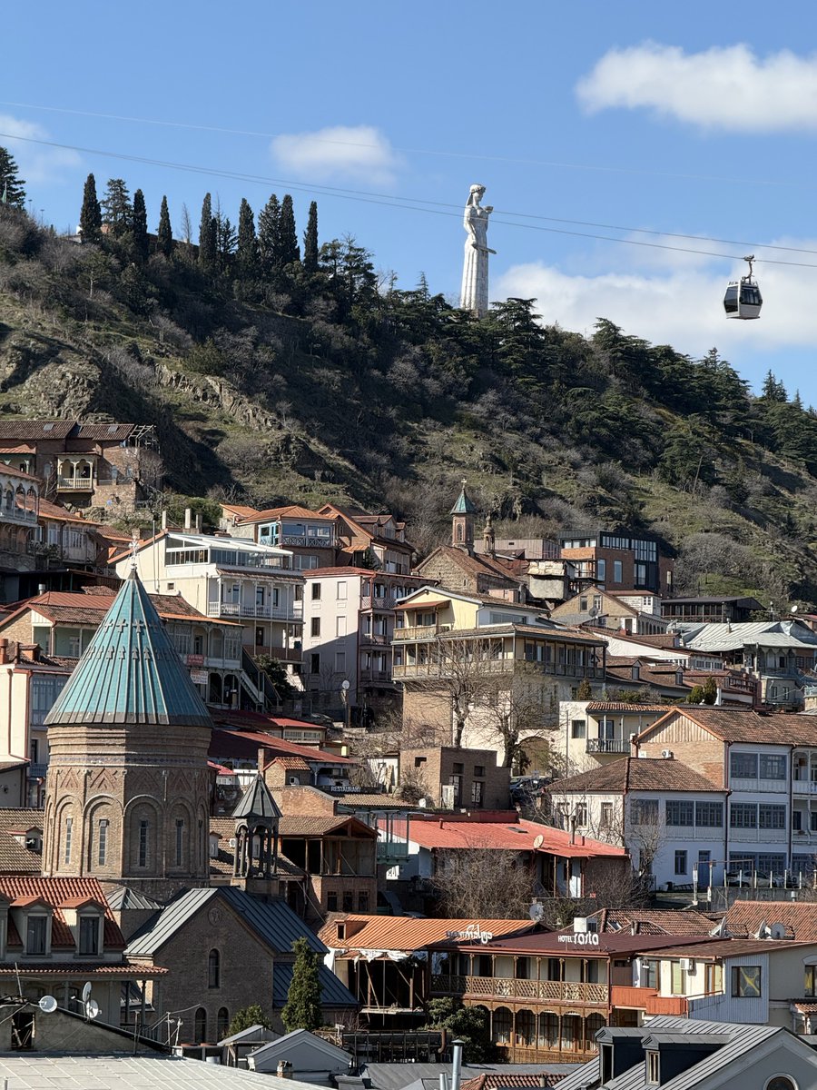 David Harrison tweet media