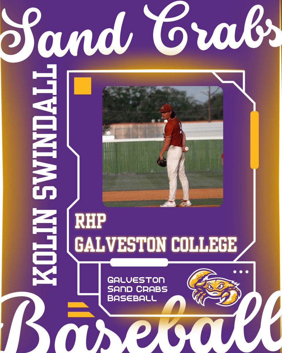 Galveston Sand Crabs tweet media