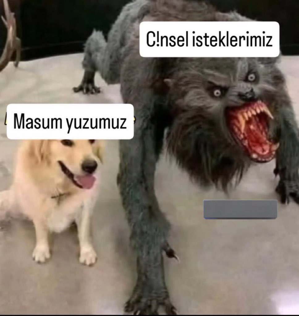 No Context Bamyacı tweet media