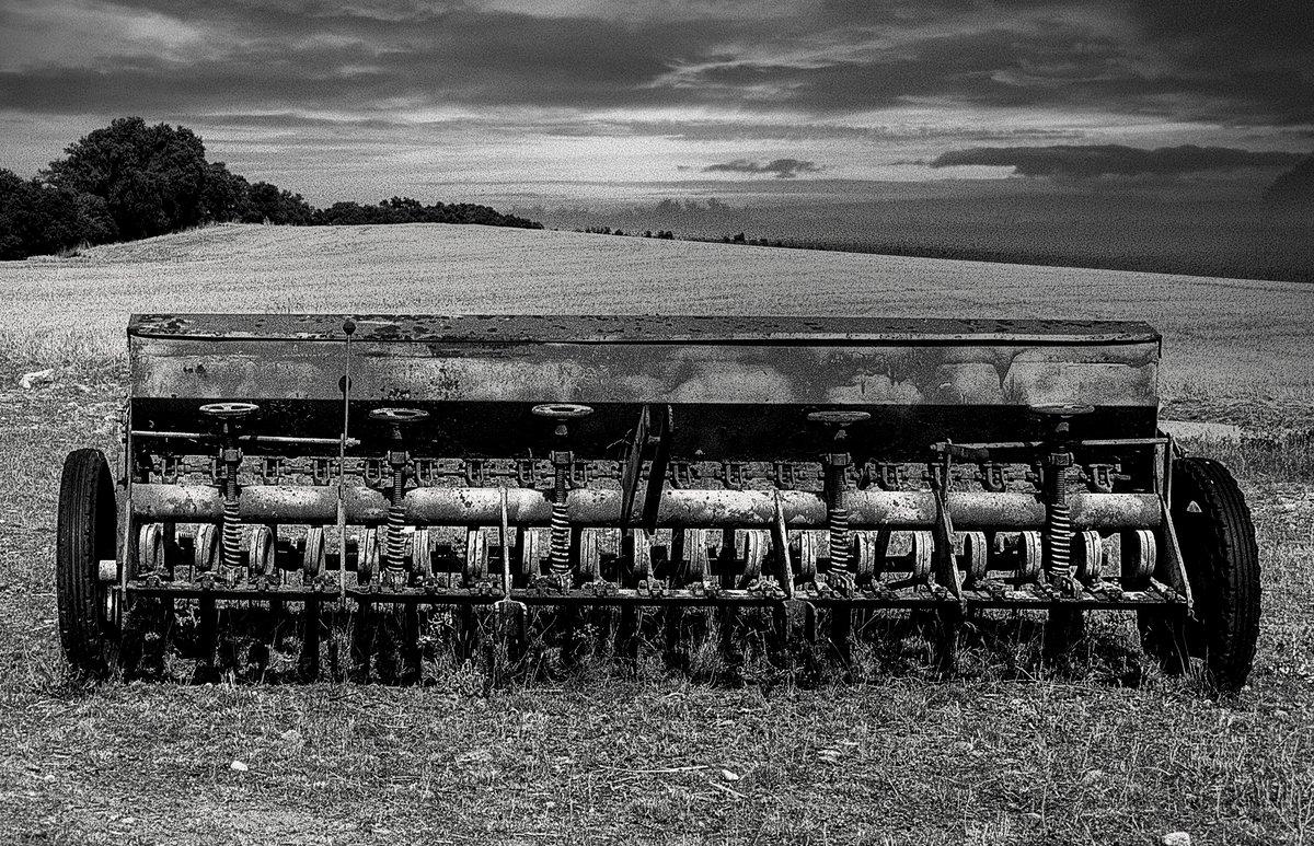 alfanuin's tweet photo. Tierras segovianas #Segovia #cultivos #agricultura #siembra #cosecha https://t.co/bGOE8GUiEB