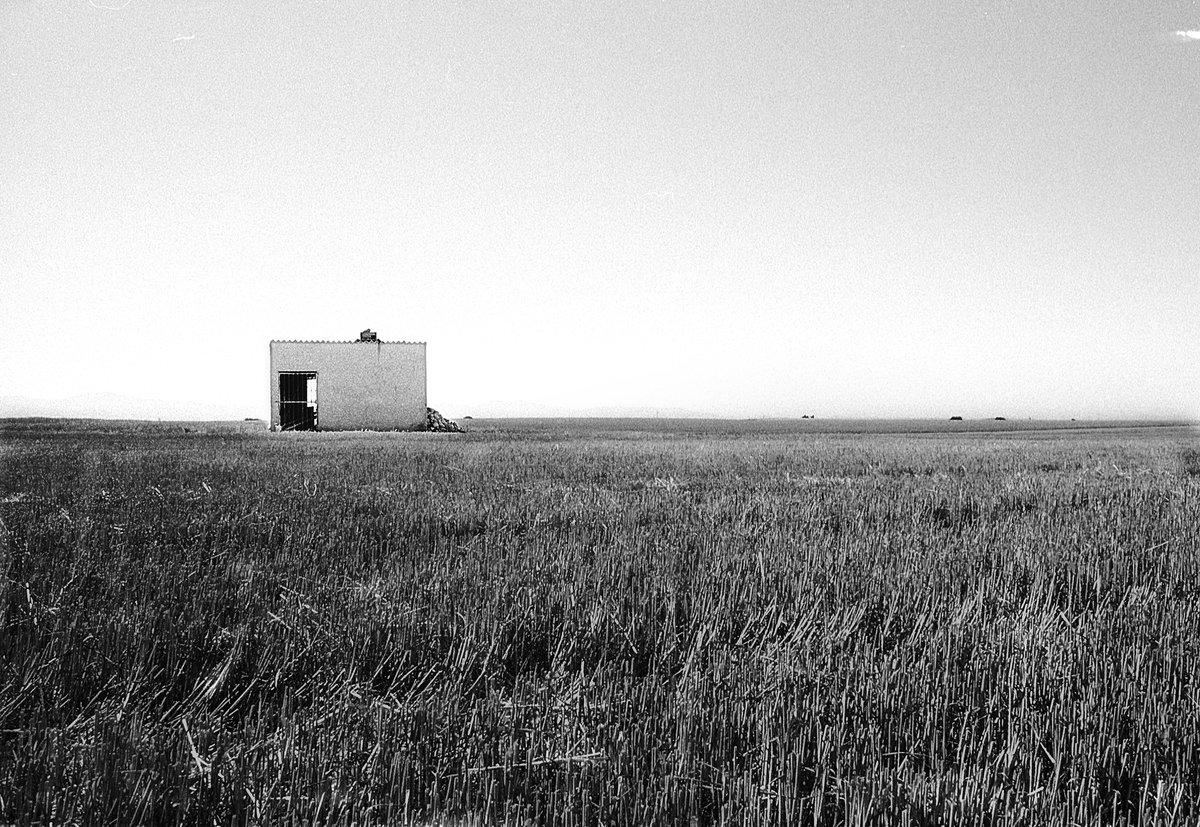 alfanuin's tweet photo. Tierras segovianas #Segovia #cultivos #agricultura #siembra #cosecha https://t.co/bGOE8GUiEB
