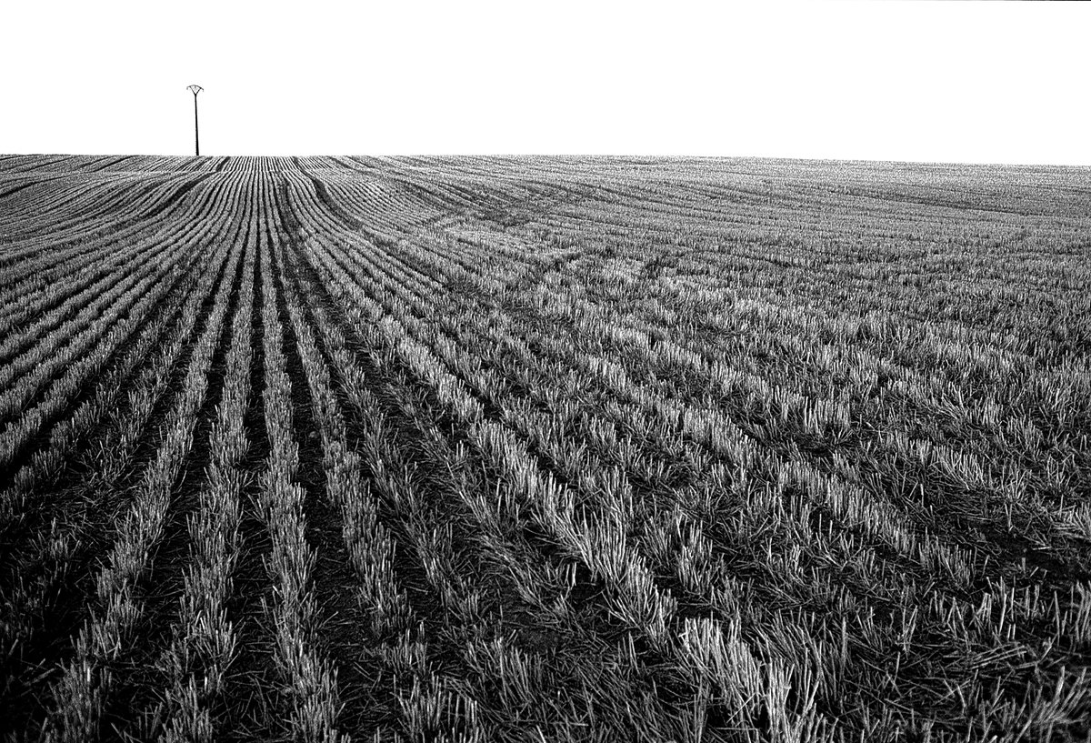 alfanuin's tweet photo. Tierras segovianas #Segovia #cultivos #agricultura #siembra #cosecha https://t.co/bGOE8GUiEB