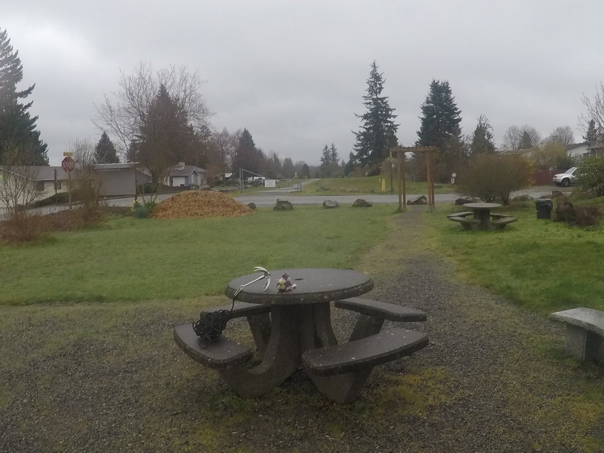 クランベリー tweet media