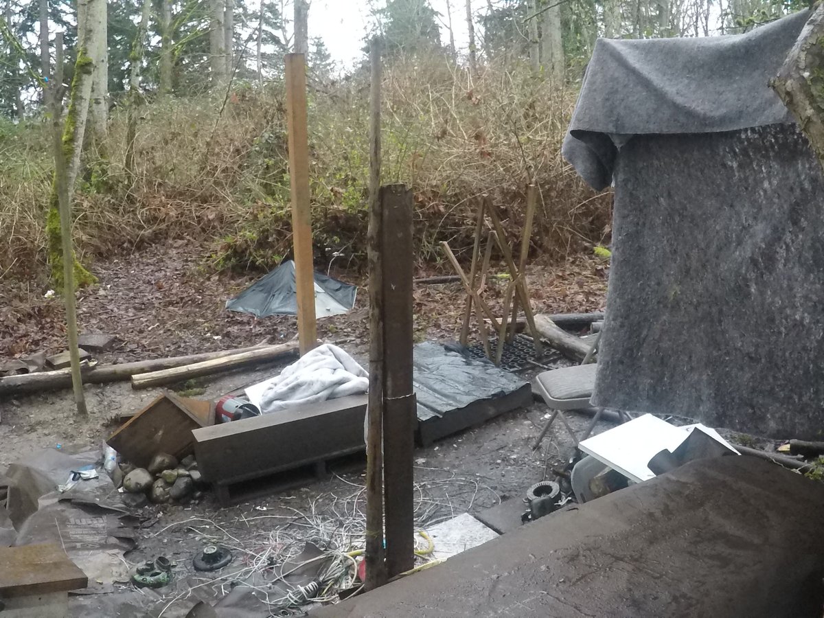 クランベリー tweet media