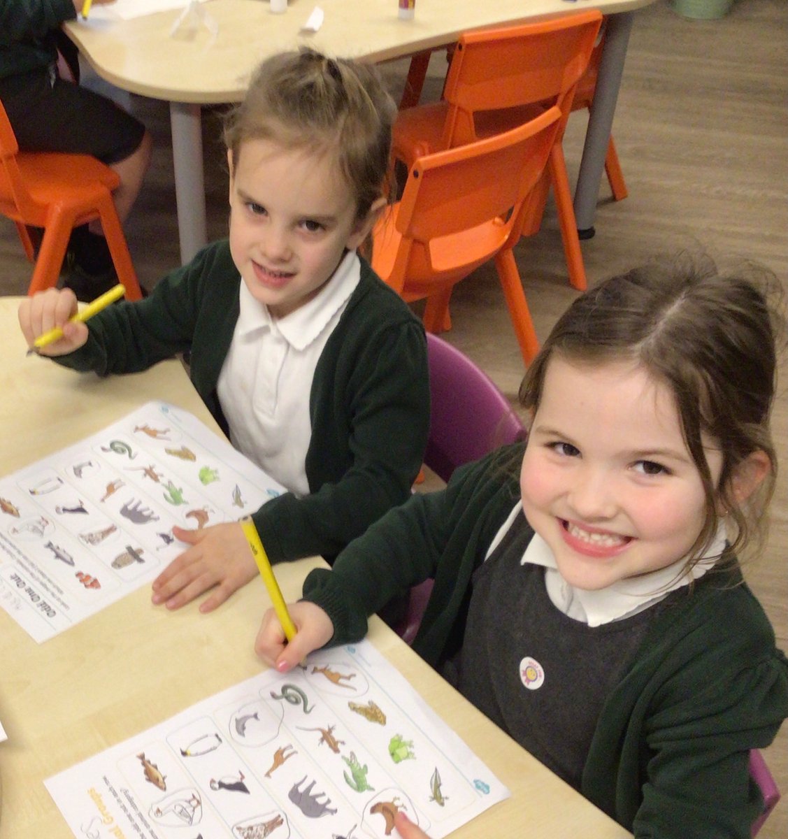 DaneRoydUFS's tweet photo. As part of British Science Week, UFS have been curious about living things, what makes them the same and what makes them different. Ask us about our ‘Odd One Out’ activity. We had lots of interesting ideas. @DaneRoydSchool #DaneRoydScience https://t.co/KZ5WlKVUMc