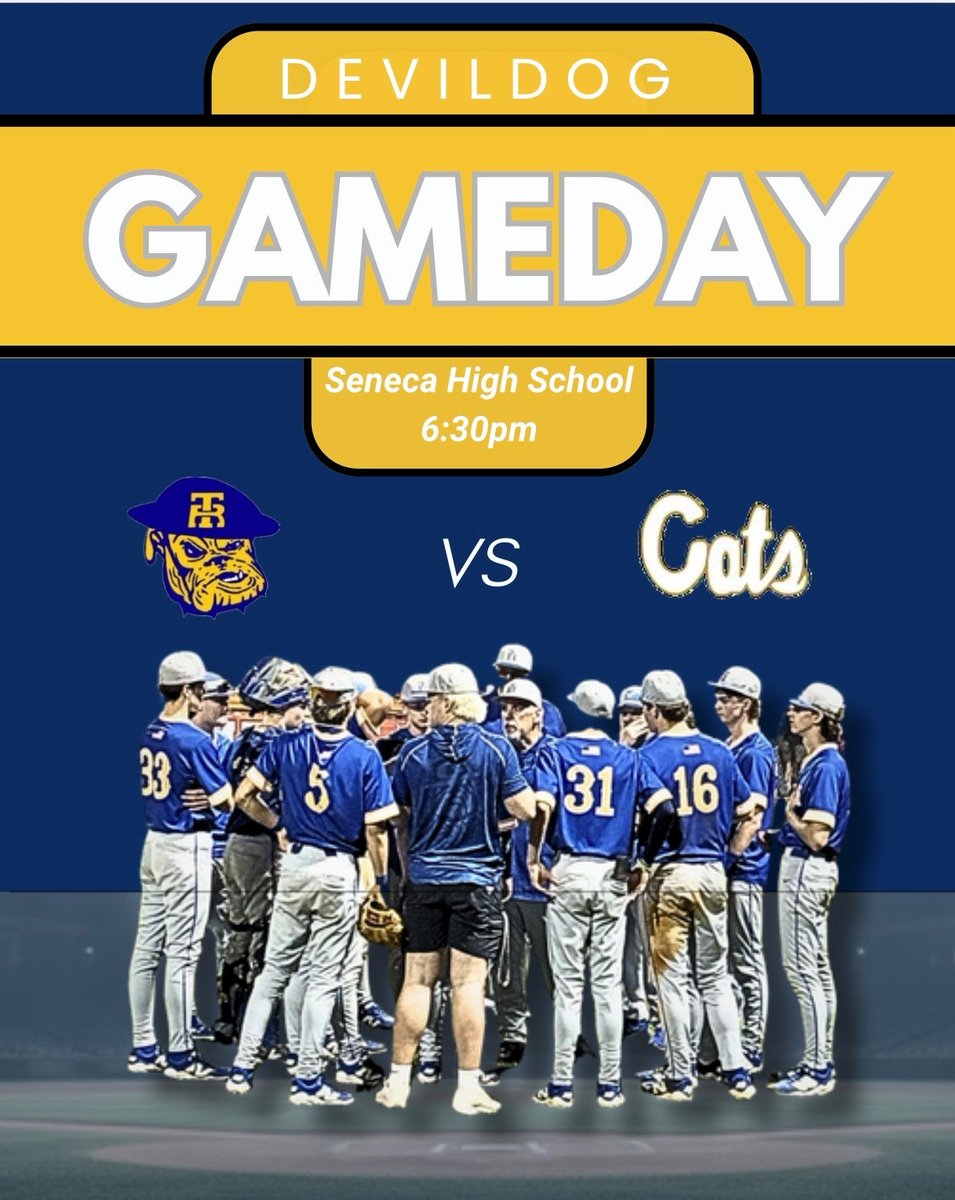 Travelers Rest High Baseball tweet media