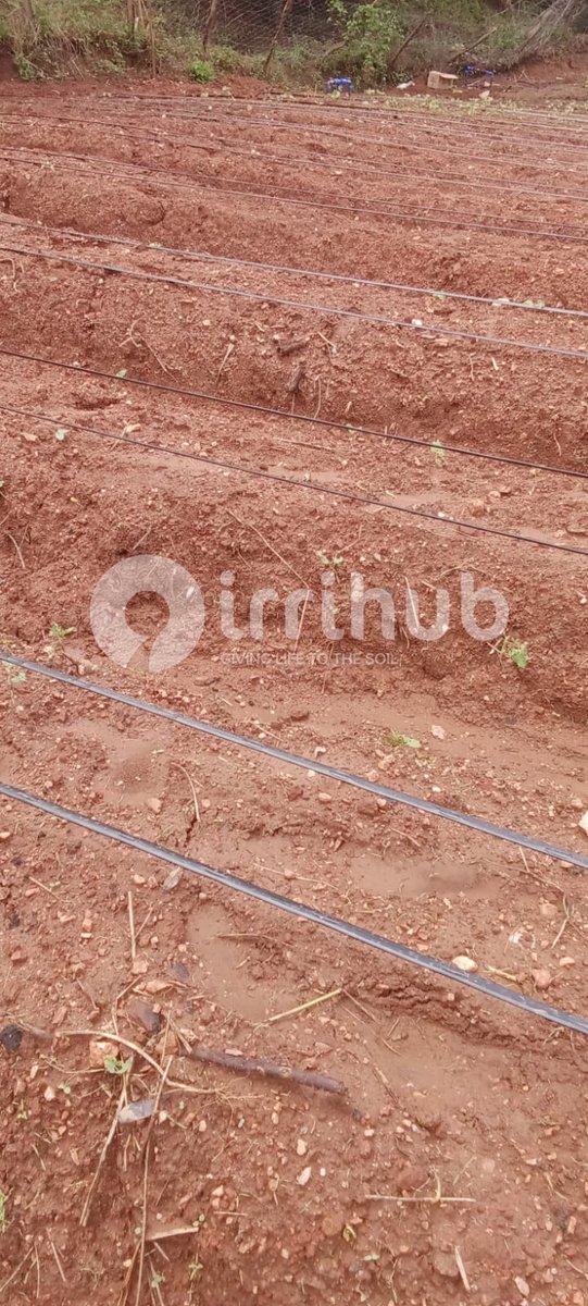 Irri-Hub KE tweet media