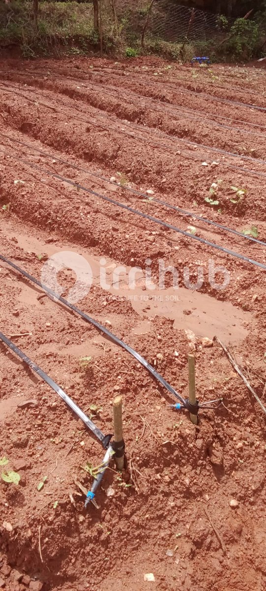 Irri-Hub KE tweet media