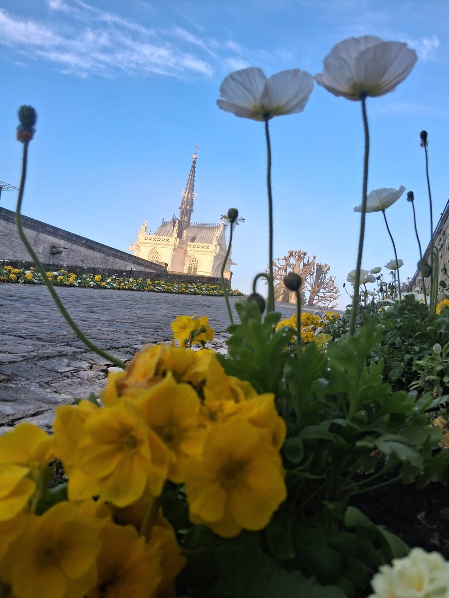 Château Royal d'Amboise tweet media