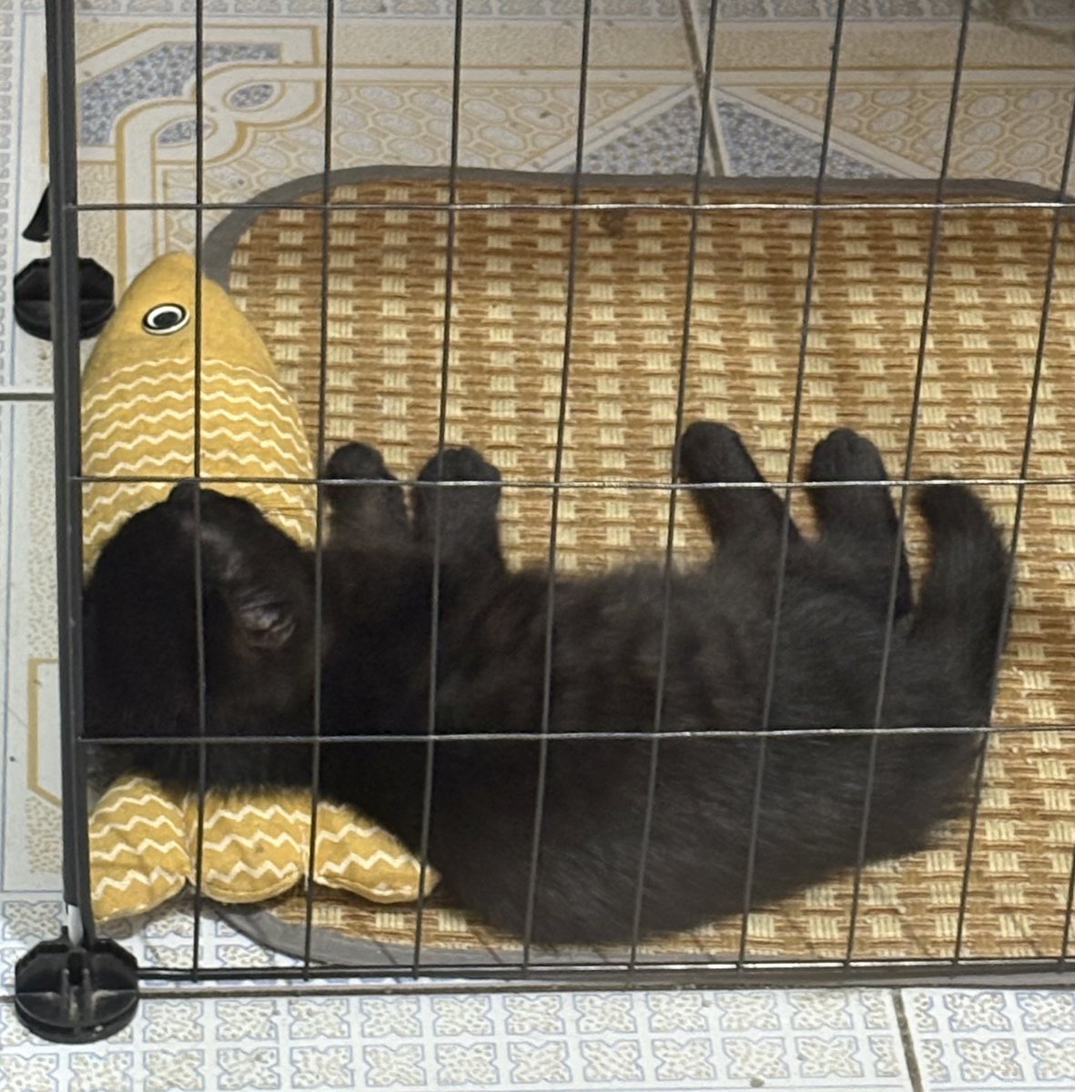 zmm0613's tweet photo. 酱酱小时候的照片我要存一辈子😭 https://t.co/pX1APYqwx5
