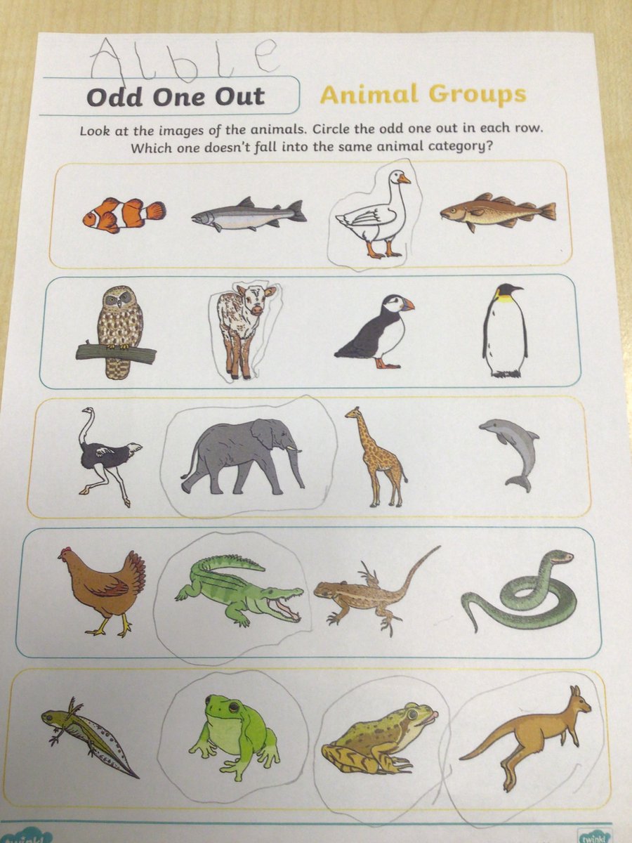 DaneRoydUFS's tweet photo. As part of British Science Week, UFS have been curious about living things, what makes them the same and what makes them different. Ask us about our ‘Odd One Out’ activity. We had lots of interesting ideas. @DaneRoydSchool #DaneRoydScience https://t.co/KZ5WlKVUMc