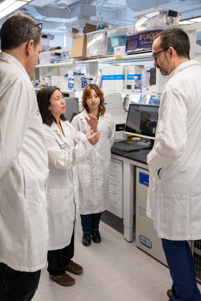 U of T Government Relations Office tweet media