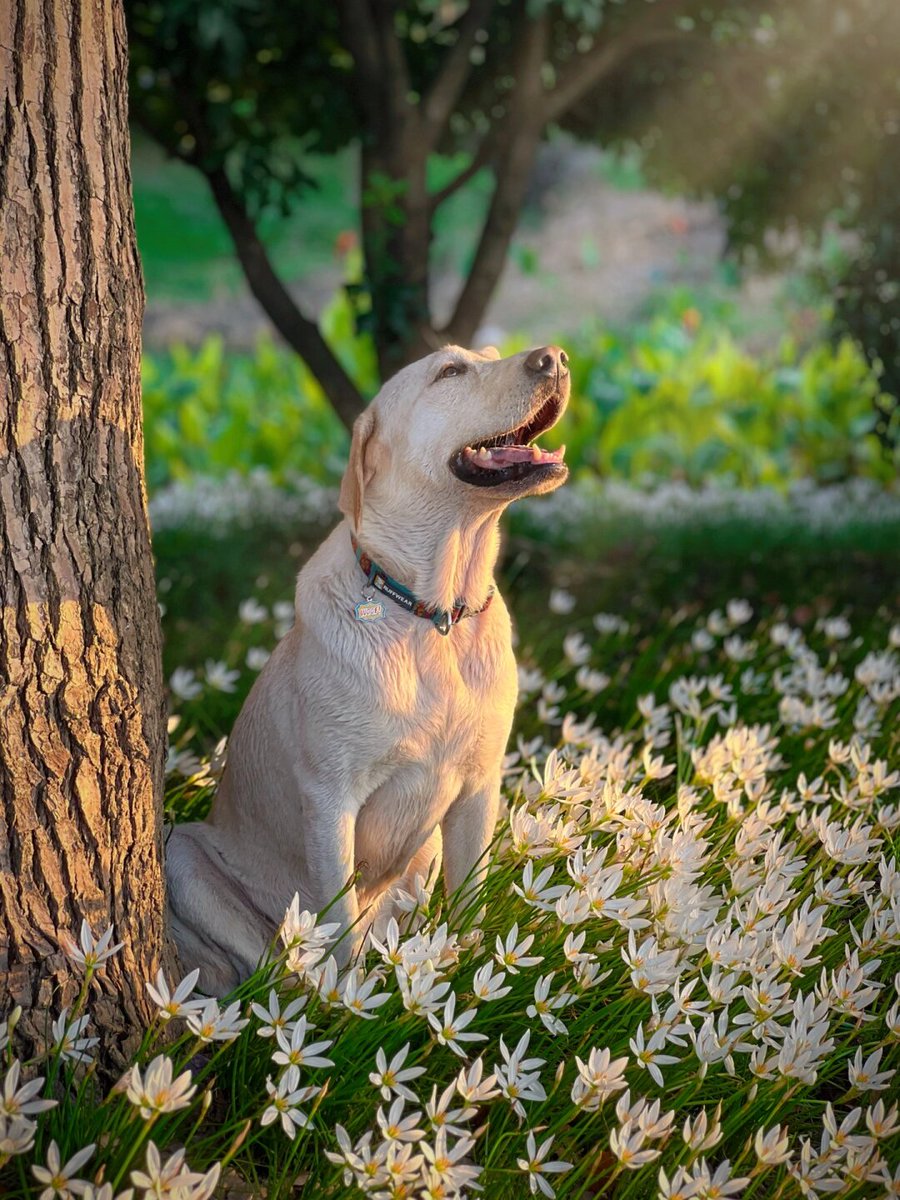 Михаил Никитин tweet media