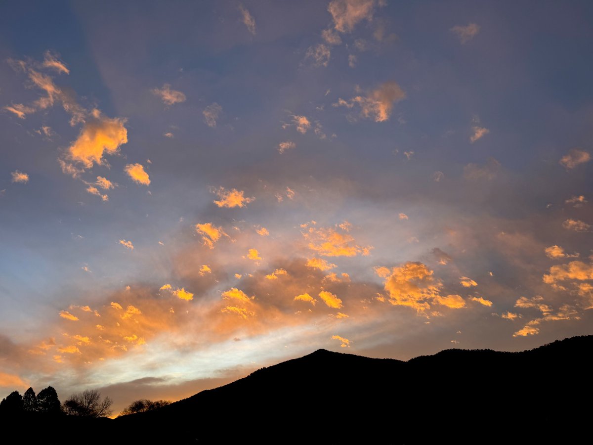 Joan Halifax tweet media