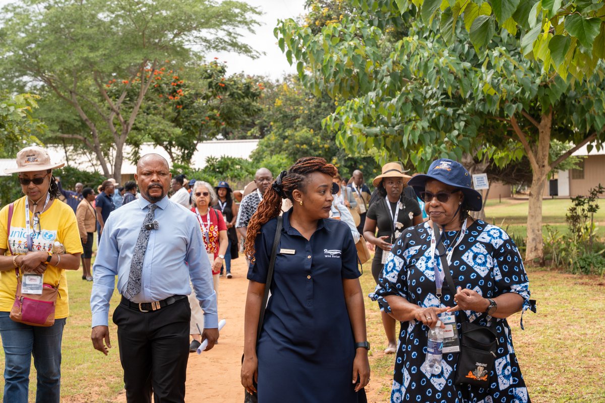 UNICEF ZIMBABWE tweet media